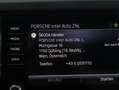 Skoda Karoq Selection TDI DSG Weiß - thumbnail 27