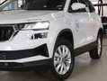Skoda Karoq Selection TDI DSG Weiß - thumbnail 7