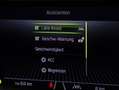 Skoda Karoq Selection TDI DSG Weiß - thumbnail 18