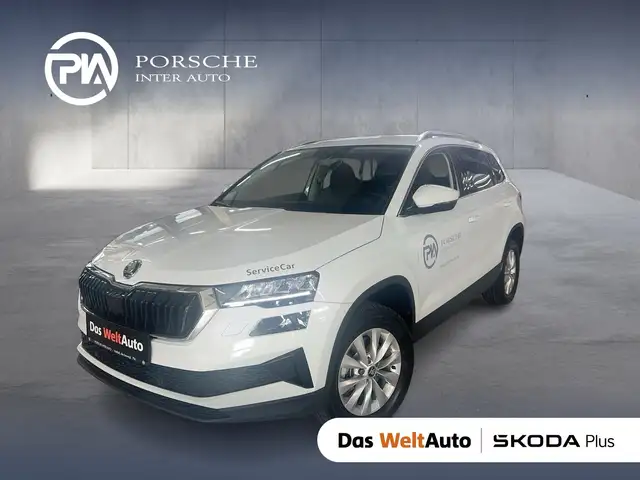 Skoda Karoq Selection TDI DSG