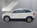Skoda Karoq Selection TDI DSG Weiß - thumbnail 2