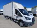 Ford Transit FT 350 Chasis Cabina 2.0 EcoBlue L3 Trend Blanco - thumbnail 2