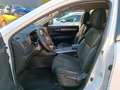 Renault Koleos dCi 150 Life Automatik Einparkhilfe + Sitzheizung Alb - thumbnail 9