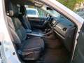Renault Koleos dCi 150 Life Automatik Einparkhilfe + Sitzheizung bijela - thumbnail 12