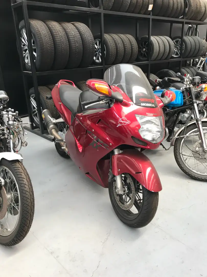 Honda CBR 1100 superblakbird Червоний - 1