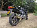 Honda CBF 500 ABS A2 op kenteken Zwart - thumbnail 5