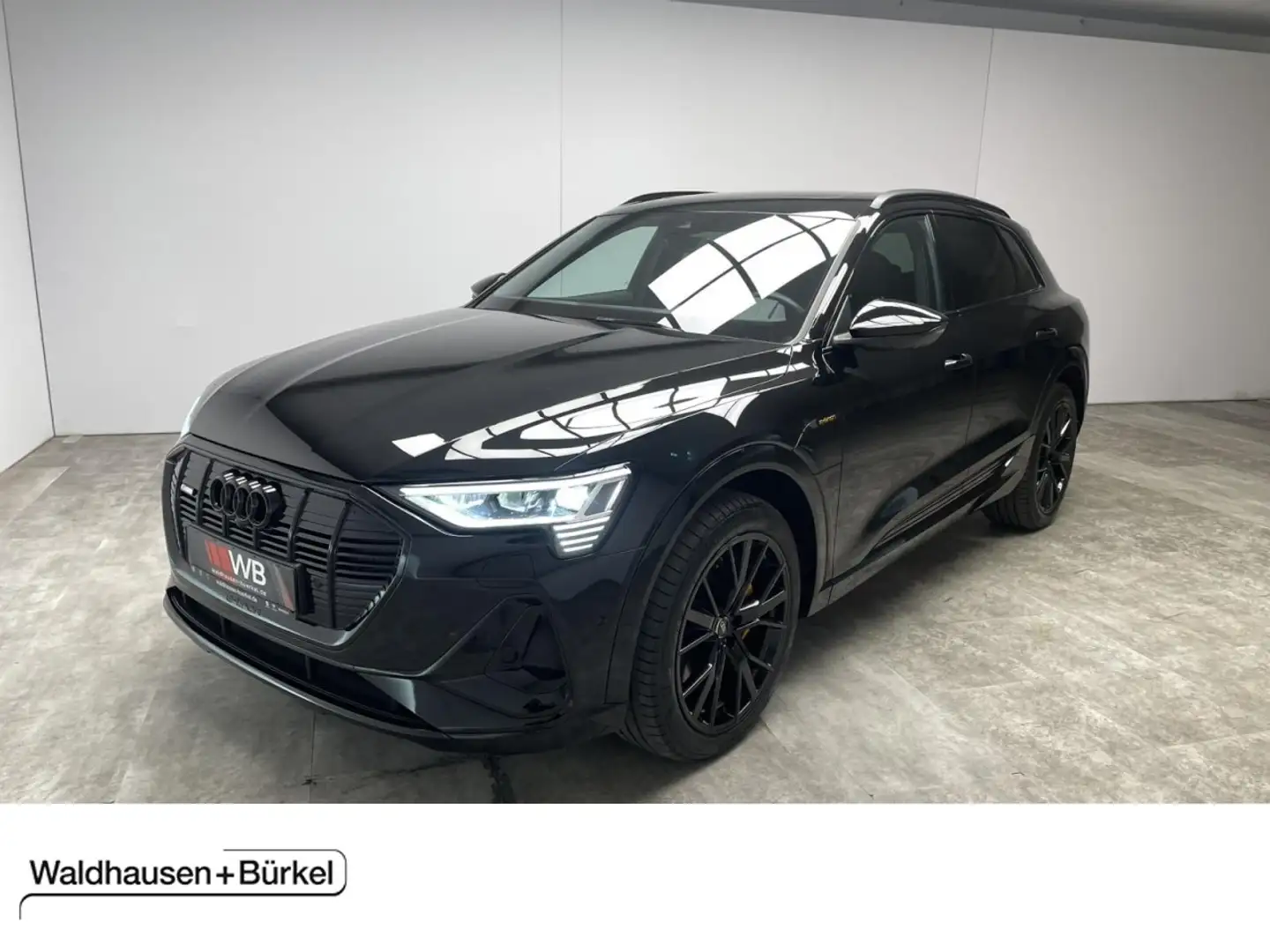 Audi e-tron 55 quattro S line Black Edition Klima Navi Schwarz - 1