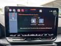 CUPRA Formentor 2.0 TDI 150 PS DSG Grau - thumbnail 19