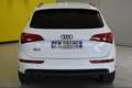 Audi Q5 Q5 2.0 tdi Adva Plus quattro 190cv s-tronic S.LINE Blanc - thumbnail 7