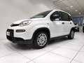 Fiat Panda Panda 1.0 FireFly S&S Hybrid Blanc - thumbnail 14