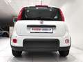 Fiat Panda Panda 1.0 FireFly S&S Hybrid Blanc - thumbnail 17