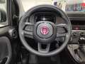 Fiat Panda Panda 1.0 FireFly S&S Hybrid Blanc - thumbnail 26