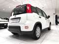 Fiat Panda Panda 1.0 FireFly S&S Hybrid Blanc - thumbnail 19