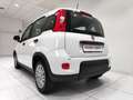 Fiat Panda Panda 1.0 FireFly S&S Hybrid Blanc - thumbnail 16