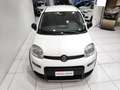 Fiat Panda Panda 1.0 FireFly S&S Hybrid Blanc - thumbnail 12