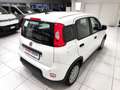 Fiat Panda Panda 1.0 FireFly S&S Hybrid Blanc - thumbnail 3