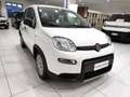 Fiat Panda Panda 1.0 FireFly S&S Hybrid Blanc - thumbnail 1