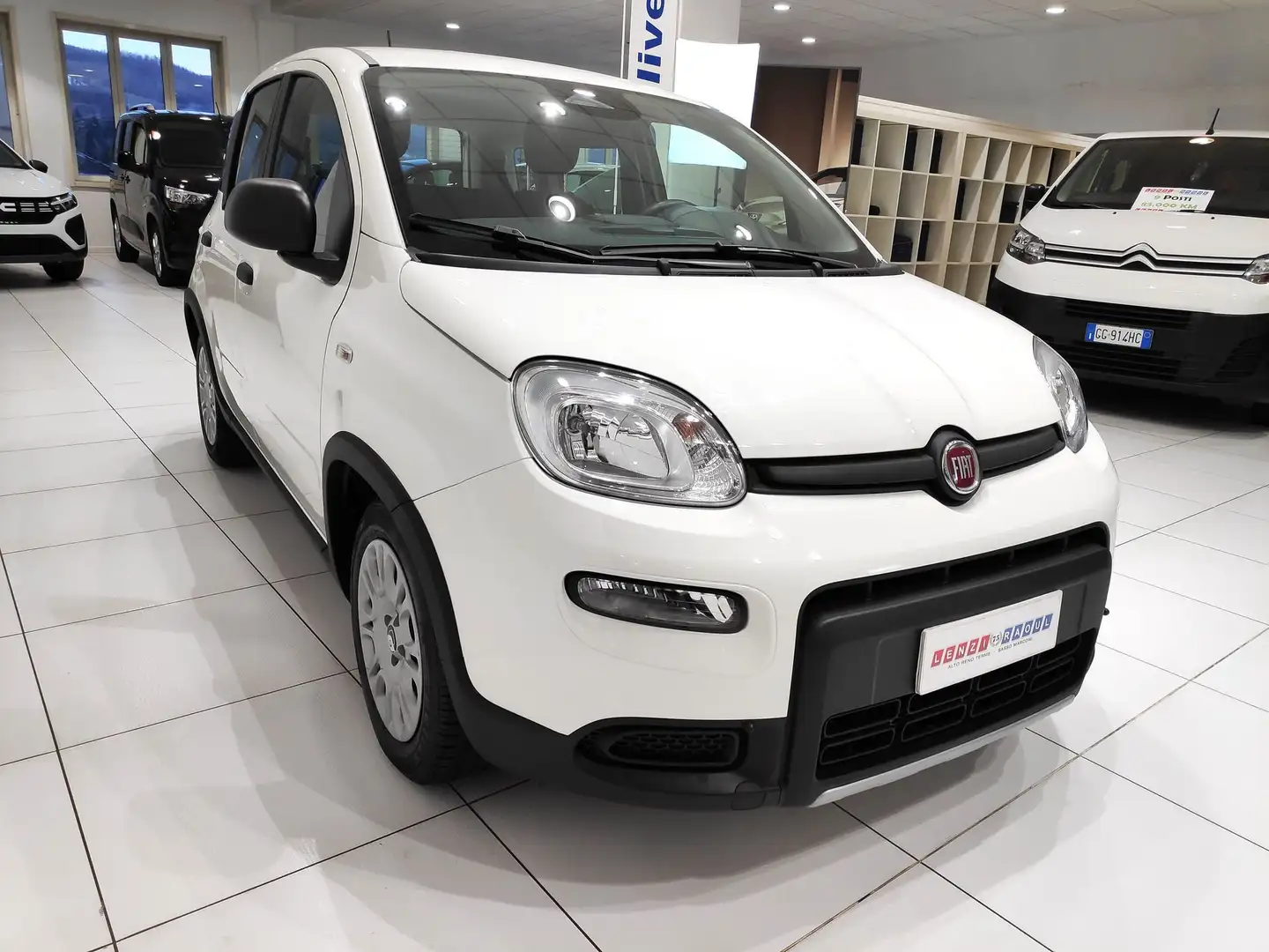 Fiat Panda Panda 1.0 FireFly S&S Hybrid Blanc - 1