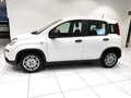 Fiat Panda Panda 1.0 FireFly S&S Hybrid Blanc - thumbnail 2