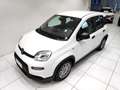 Fiat Panda Panda 1.0 FireFly S&S Hybrid Blanc - thumbnail 13