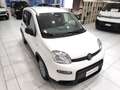 Fiat Panda Panda 1.0 FireFly S&S Hybrid Blanc - thumbnail 9