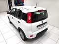 Fiat Panda Panda 1.0 FireFly S&S Hybrid Blanc - thumbnail 15