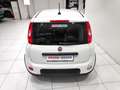 Fiat Panda Panda 1.0 FireFly S&S Hybrid Blanc - thumbnail 18