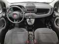 Fiat Panda Panda 1.0 FireFly S&S Hybrid Blanc - thumbnail 4