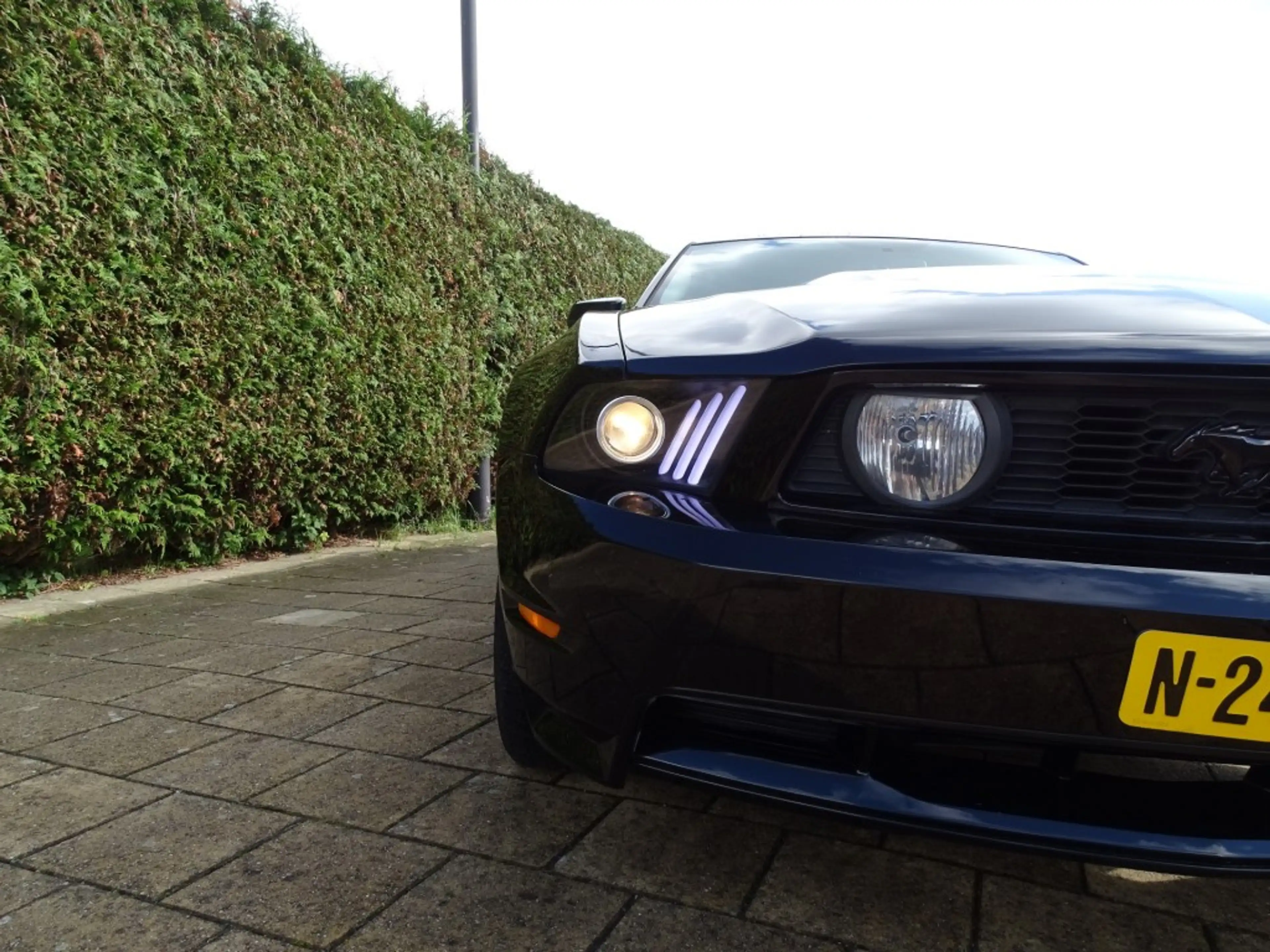 Ford GT 4.6 V8 GT-Aux-Blth-Cruise-Airco — photo 2
