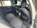 BMW 116 116d Weiß - thumbnail 6