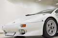 Lamborghini Diablo VT Weiß - thumbnail 23