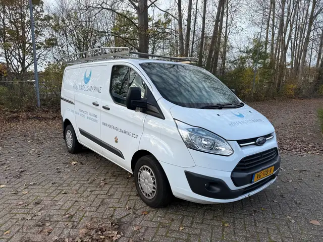 Ford Transit Custom 270 2.2 TDCI Verstuiver Defect