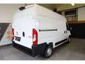 Peugeot Boxer III L2H2 Blanc - thumbnail 13