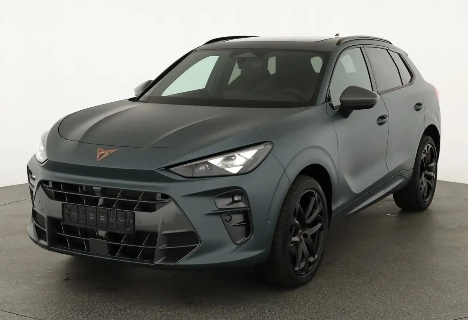 CUPRA Terramar 2.0 TSI 195kW AM. CUP L. ED. DSG 4Drive Grau - 1