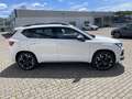 CUPRA Ateca 2.0 TSI DSG BEATS eHECK LED SHZ Weiß - thumbnail 5