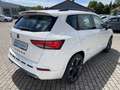 CUPRA Ateca 2.0 TSI DSG BEATS eHECK LED SHZ Weiß - thumbnail 6