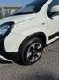 Fiat Panda Panda III 2021 Cross 1.0 firefly hybrid Cross s Bianco - thumbnail 2
