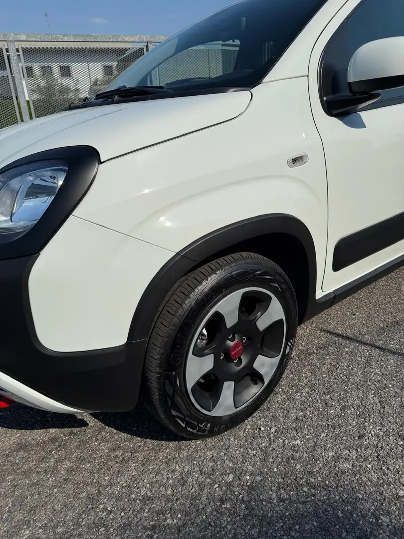 Fiat Panda Panda III 2021 Cross 1.0 firefly hybrid Cross s Bianco - 2