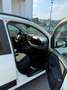 Fiat Panda Panda III 2021 Cross 1.0 firefly hybrid Cross s Bianco - thumbnail 13