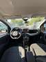 Fiat Panda Panda III 2021 Cross 1.0 firefly hybrid Cross s Bianco - thumbnail 12