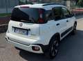 Fiat Panda Panda III 2021 Cross 1.0 firefly hybrid Cross s Bianco - thumbnail 4