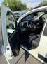 Fiat Panda Panda III 2021 Cross 1.0 firefly hybrid Cross s Bianco - thumbnail 7