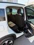 Fiat Panda Panda III 2021 Cross 1.0 firefly hybrid Cross s Bianco - thumbnail 15