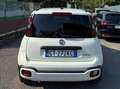 Fiat Panda Panda III 2021 Cross 1.0 firefly hybrid Cross s Bianco - thumbnail 3