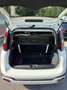 Fiat Panda Panda III 2021 Cross 1.0 firefly hybrid Cross s Bianco - thumbnail 6
