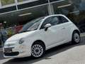 Fiat 500 PANO / CRUISE / 2022 / CARPLAY / LEATHER / PERFECT Blanc - thumbnail 3