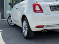 Fiat 500 PANO / CRUISE / 2022 / CARPLAY / LEATHER / PERFECT Blanc - thumbnail 9