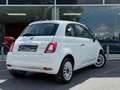 Fiat 500 PANO / CRUISE / 2022 / CARPLAY / LEATHER / PERFECT Blanc - thumbnail 7