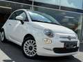 Fiat 500 PANO / CRUISE / 2022 / CARPLAY / LEATHER / PERFECT Blanc - thumbnail 6