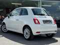 Fiat 500 PANO / CRUISE / 2022 / CARPLAY / LEATHER / PERFECT Blanc - thumbnail 8